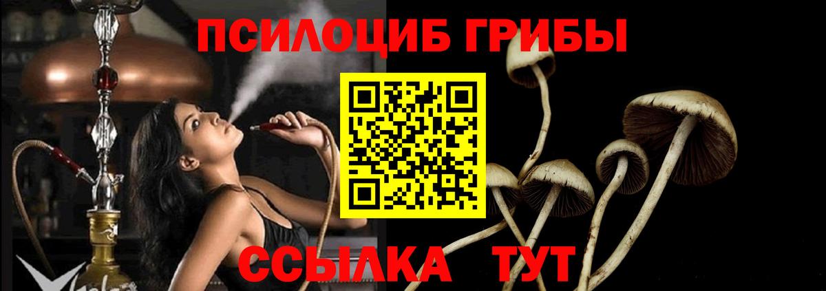 Псилоцибиновые грибы прущие грибы Белая Калитва